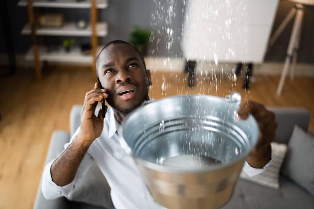 Best Flood damage cleanup  in West Monroe, LA