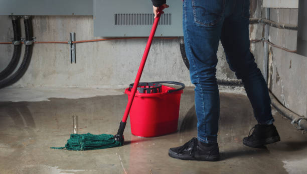 Best Residential water damage restoration  in West Monroe, LA