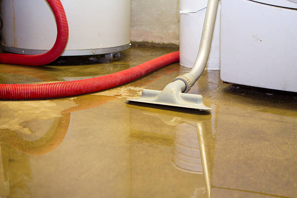 Best Water damage cleanup near me  in West Monroe, LA