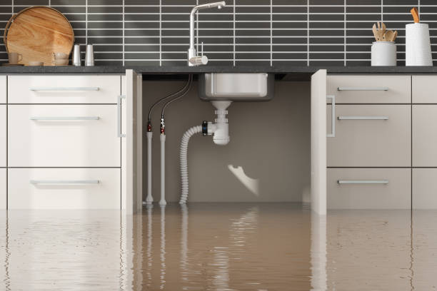 Best Fire Damage Restoration  in West Monroe, LA