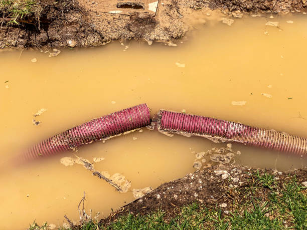 Best Water damage restoration near me  in West Monroe, LA