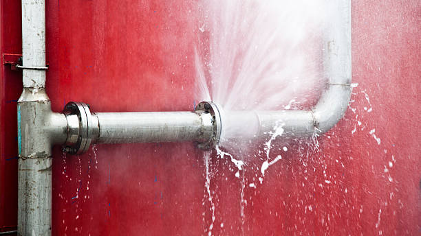 Best Water damage contractors near me  in West Monroe, LA